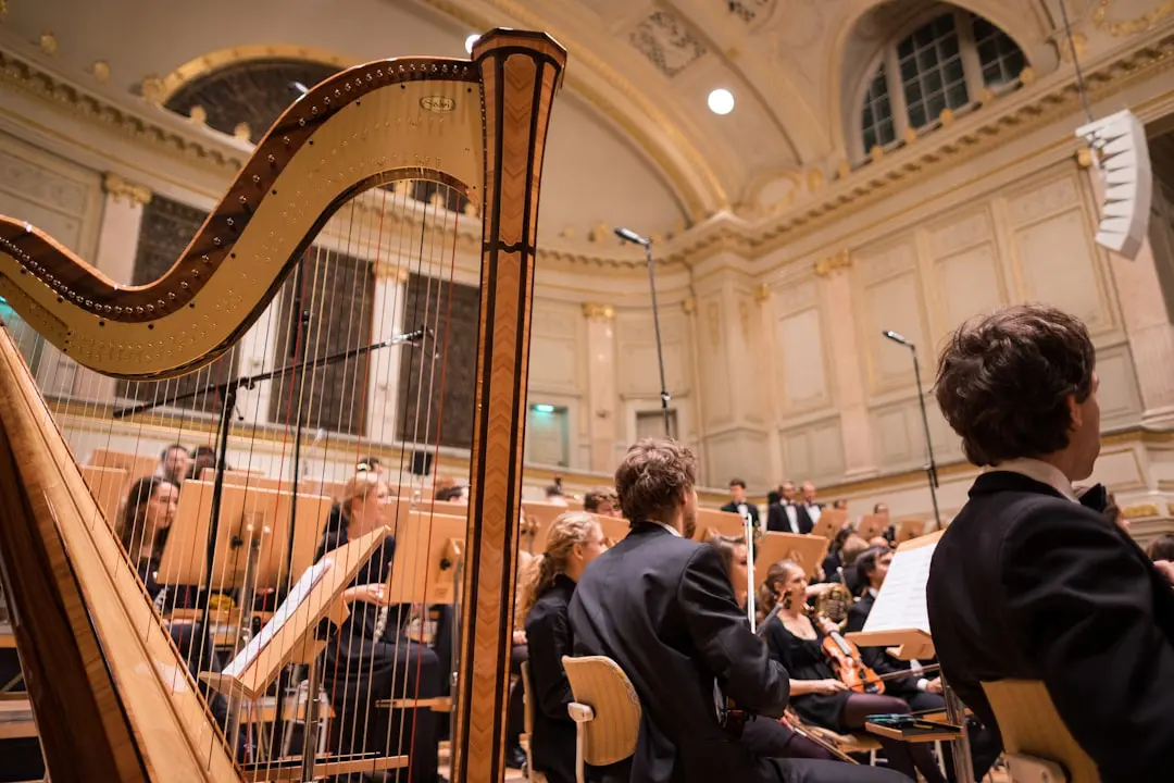 musique classique pour enterrement 4