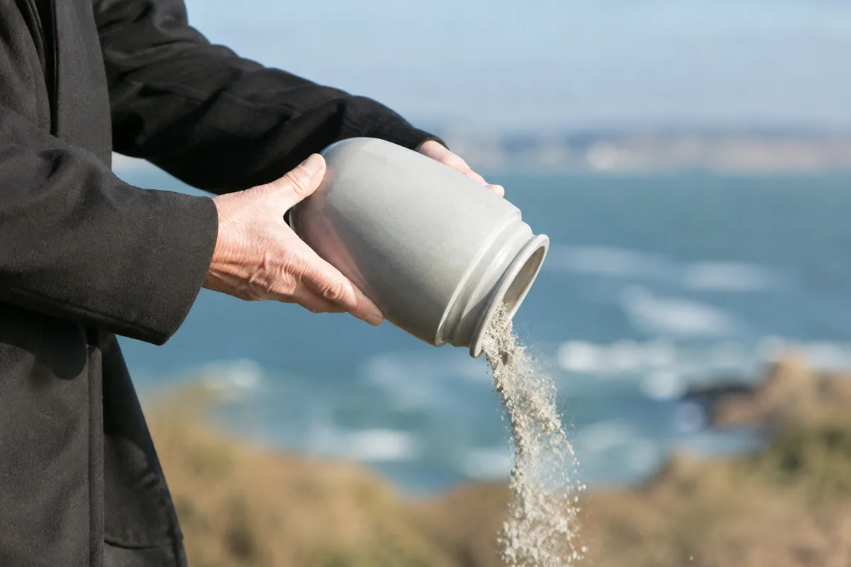 Gros plan sur les mains d'une personne ouvrant doucement une urne en bois naturel
